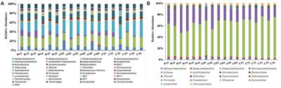 Diversity and Structure of Diazotrophic Communities in Mangrove Rhizosphere, Revealed by High-Throughput Sequencing